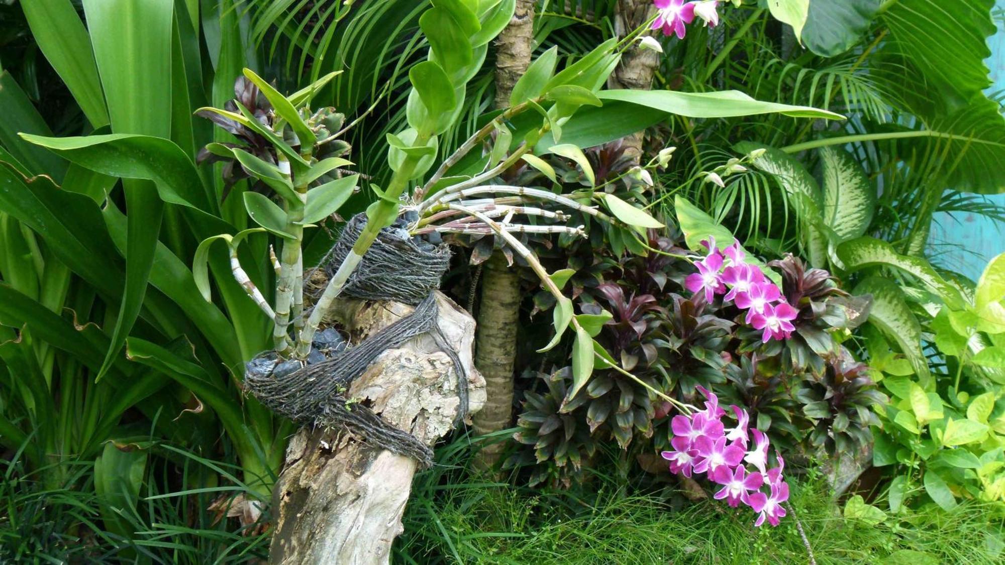 Hevea Villas Seminyak Rum bild